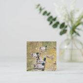 Carte D'accompagnement Mallards sur l'étang (Debout devant)
