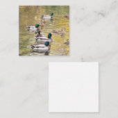 Carte D'accompagnement Mallards sur l'étang (Devant / Derrière)