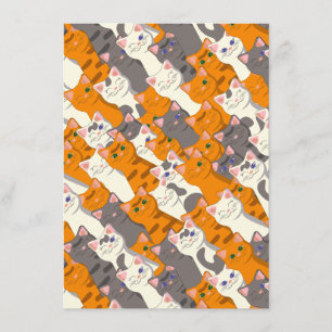 Carte D'accompagnement Motif en diagonale du chat noir blanc gingembre