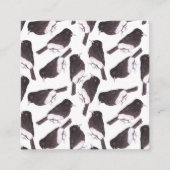 Carte D'accompagnement Oiseaux de phoebe noir (Devant)