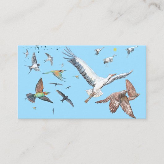 Carte D'accompagnement Oiseaux migrateurs traçant leurs vols Illustration (Devant)