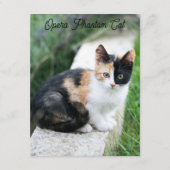 Carte D'accompagnement Opera Phantom Chat (Devant)