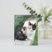 Carte D'accompagnement Opera Phantom Chat (Debout devant)