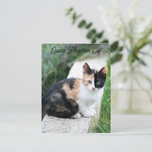 Carte D'accompagnement Opera Phantom Chat (Debout devant)