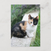 Carte D'accompagnement Opera Phantom Chat (Devant)