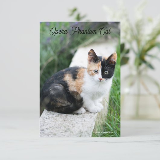 Carte D'accompagnement Opera Phantom Chat (Debout devant)