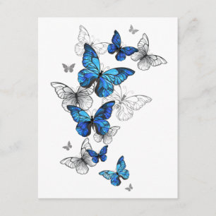 Carte D'accompagnement Papillons volants bleus Morpho