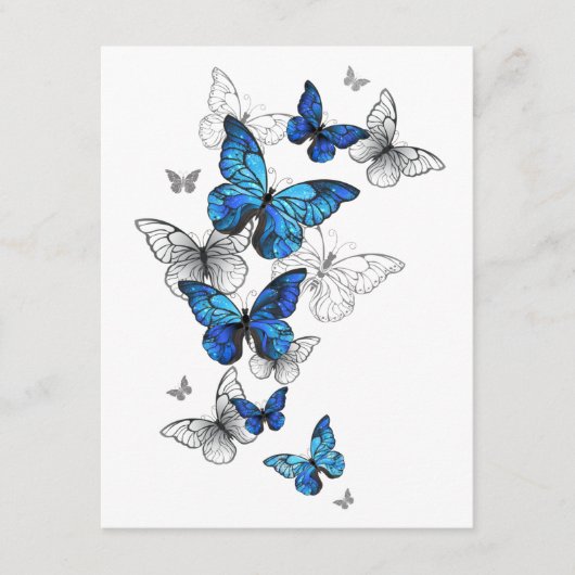 Carte D'accompagnement Papillons volants bleus Morpho (Devant)