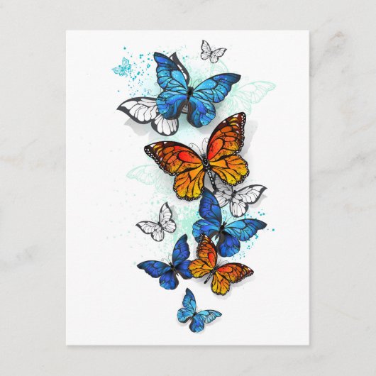 Carte D'accompagnement Papillons volants Morpho et Monarch (Devant)