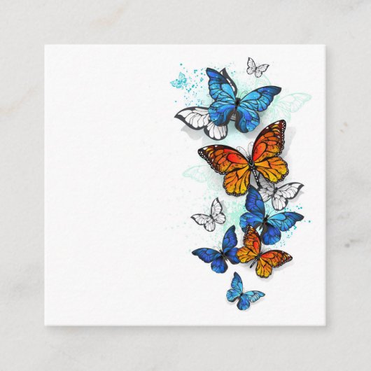 Carte D'accompagnement Papillons volants Morpho et Monarch (Devant)