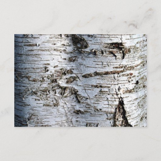 Carte D'accompagnement Pays Rustic Birch Tree Mariage - détails Insérer (Dos)