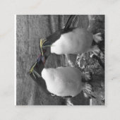 Carte D'accompagnement Penguin Colour Splash (Dos)