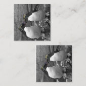 Carte D'accompagnement Penguin Colour Splash (Devant / Derrière)