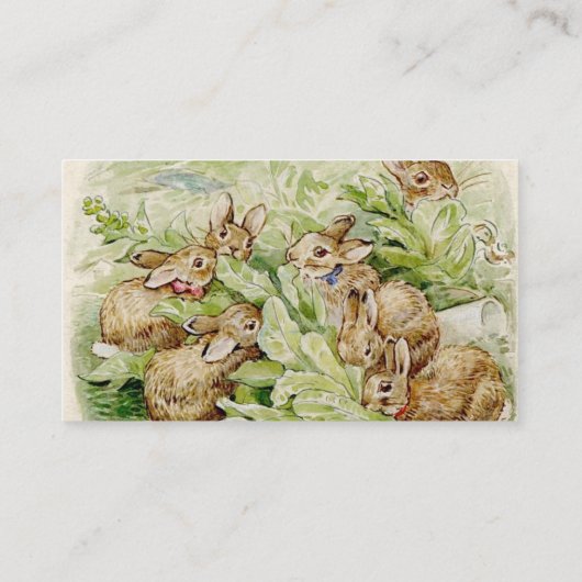 Carte D'accompagnement Peter the Rabbit Garden Baby shower Demande de rés (Dos)