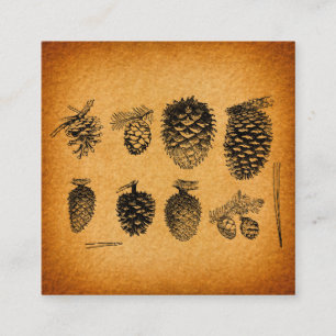 Carte D'accompagnement Pinecones Rustiques Pine Cone Art Design antique