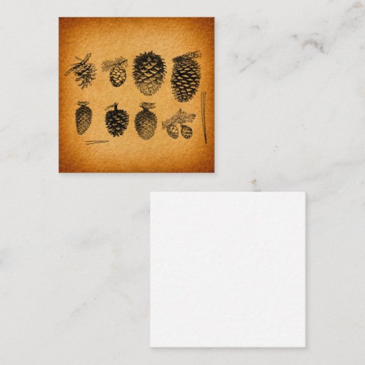 Carte D'accompagnement Pinecones Rustiques Pine Cone Art Design antique (Devant / Derrière)