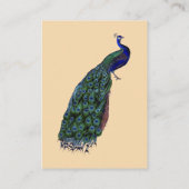 Carte D'accompagnement Réception Peacock vintage (Dos)