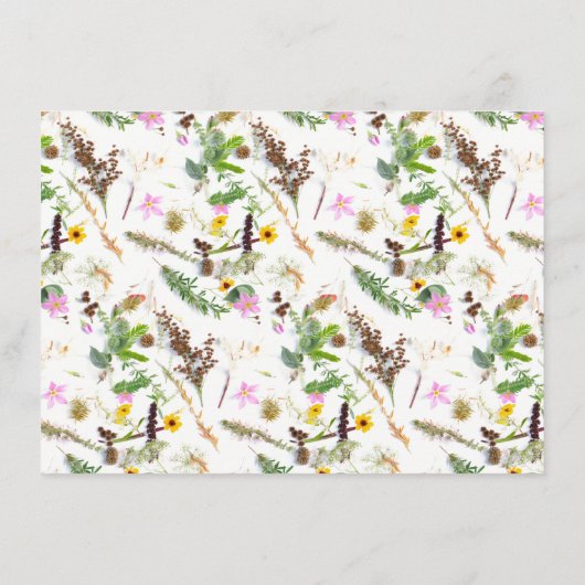 Carte D'accompagnement Simple Elegant Botanical Fleur sauvage Détails du (Dos)