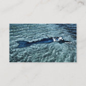 Carte D'accompagnement Sirène Saltwater (Dos)