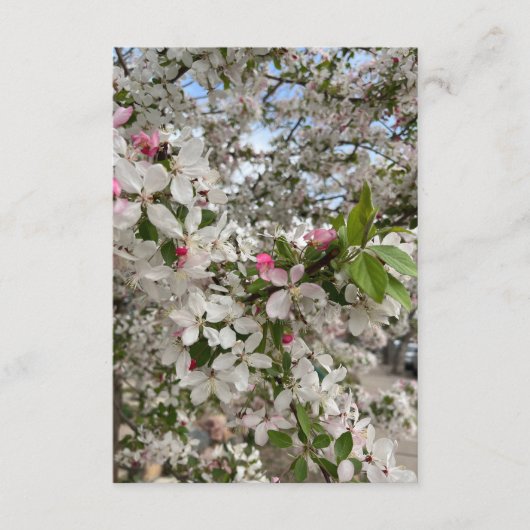 Carte D'accompagnement Spring flower (Devant)