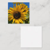 Carte D'accompagnement Tournesol (Devant / Derrière)