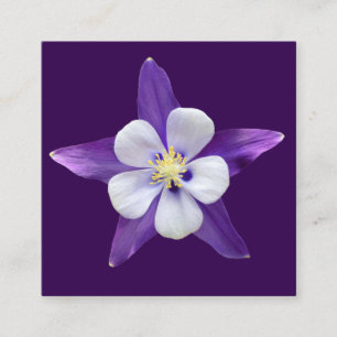 Carte D'accompagnement Toutes les petites cartes-cadeaux pour Carrés