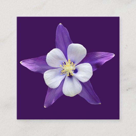 Carte D'accompagnement Toutes les petites cartes-cadeaux pour Carrés (Devant)