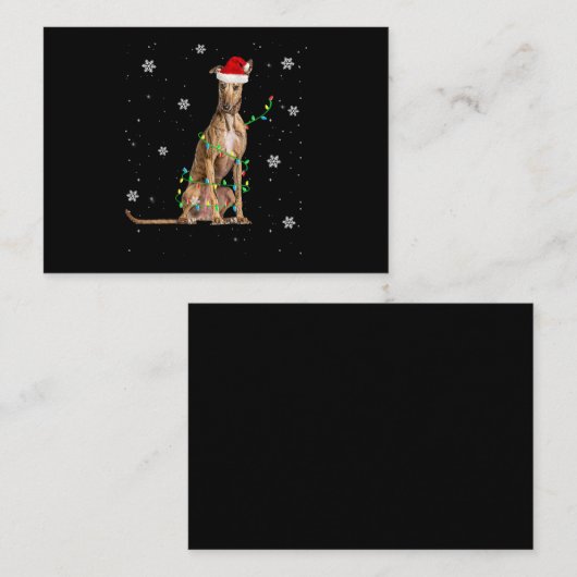 Carte D'accompagnement Whippet Christmas Light mignet Père Noël Whippet X (Devant / Derrière)