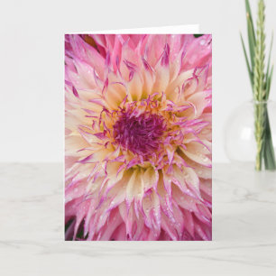 Carte d'accueil à impression florale dahlia rose s