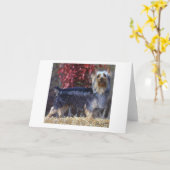 Carte d'accueil blanche pour chien Silky Terrier (Fleur jaune)