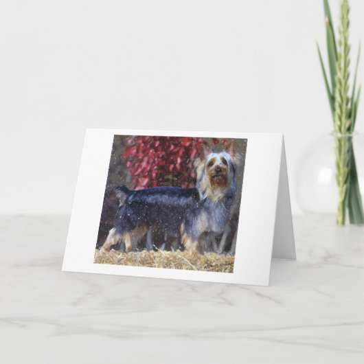 Carte d'accueil blanche pour chien Silky Terrier (Devant)