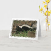 Carte d'accueil de comportement de skunk (Fleur jaune)