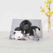 Carte d'accueil d'ours de Notta (Fleur jaune)