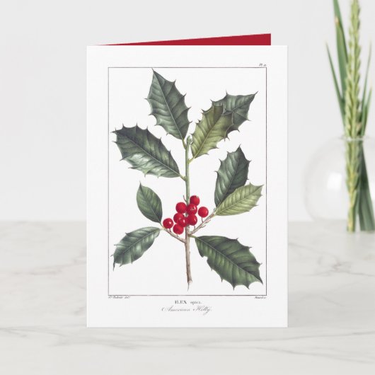 CARTE D'ACCUEIL HOLLY CHRISTMAS D'AMÉRIQUE vintage (Devant)