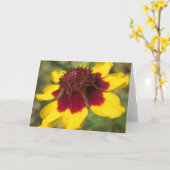 Carte d'accueil noire de la photo de Coreopsis (Fleur jaune)