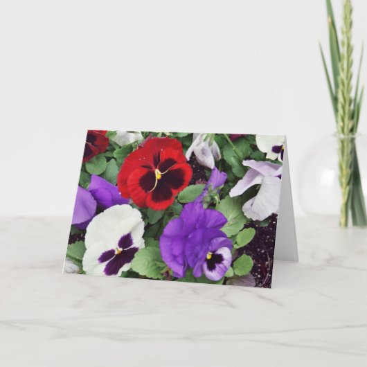 CARTE D'ACCUEIL : Pansies (Devant)