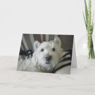 Carte d'accueil photo du visage de mignonne Westie
