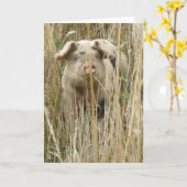 Carte d'accueil pour cochon joli (Fleur jaune)