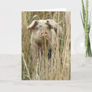 Carte d'accueil pour cochon joli