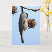 Carte d'accueil pour les chickadee (Fleur jaune)