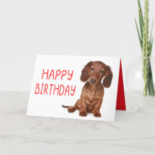 Carte Dachshund Anniversaire Funny Wiener Dog Dashie Ann
