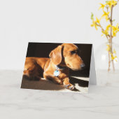Carte Dachshund chien animal de compagnie (Fleur jaune)
