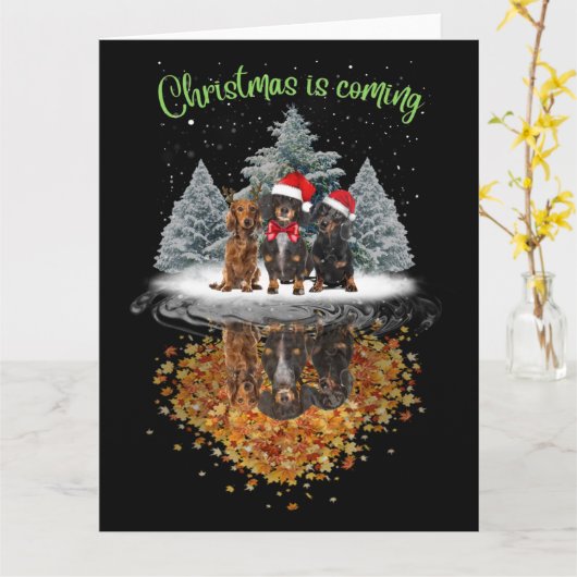 Carte Dachshund Noël arrive mignon Chien Graphic Tee (Fleur jaune)