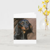 Carte dachshund noir et feu (Fleur jaune)