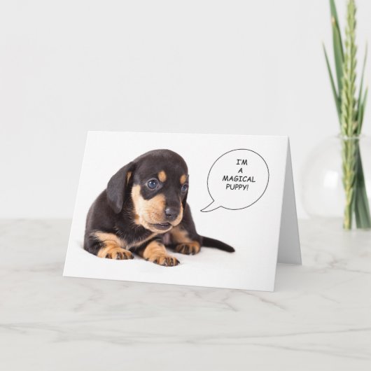 Carte Dachshund Puppy Get Well Card (Devant)