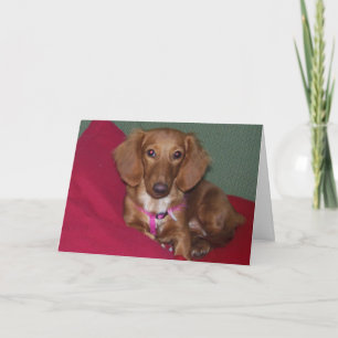 Carte Dachshund, Va Bien Bientôt