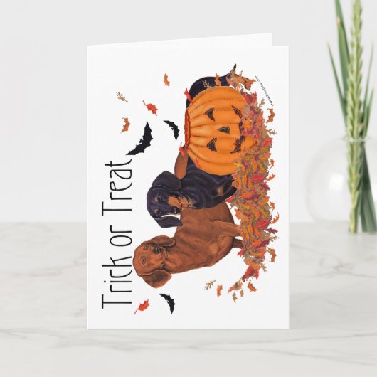 Carte Dachshunds Halloween (Devant)