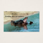 Carte d'action de gentillesse aléatoire de tortue (Devant)