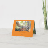 Carte d'action de grâce M. Bickles L'écureuil 5 x  (Dos)