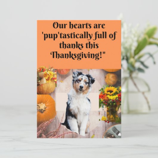 Carte d'action de grâce pour Chiens et Chats, (Debout devant)